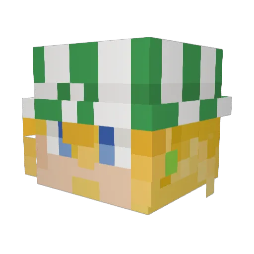 beeingpog Minecraft avatar head, 3D render