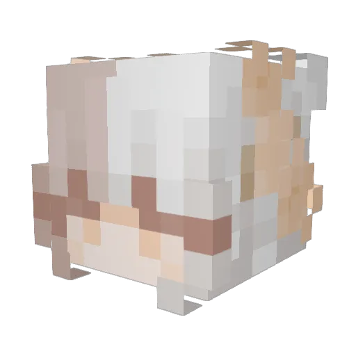 beeleigh_ Minecraft avatar head, 3D render