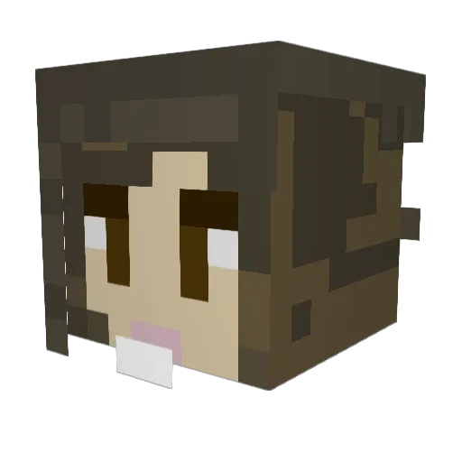 beemo11 Minecraft avatar head, 3D render