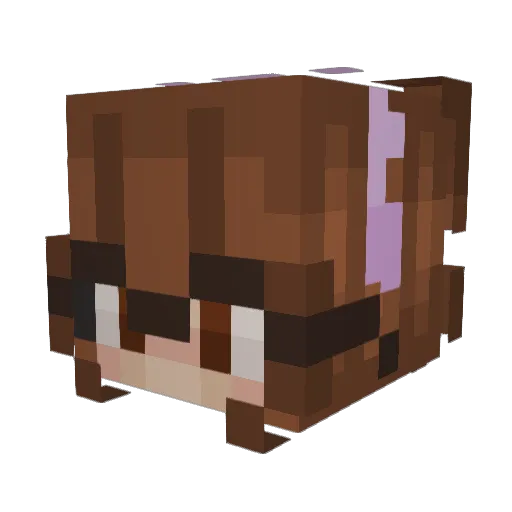 beenae Minecraft avatar head, 3D render