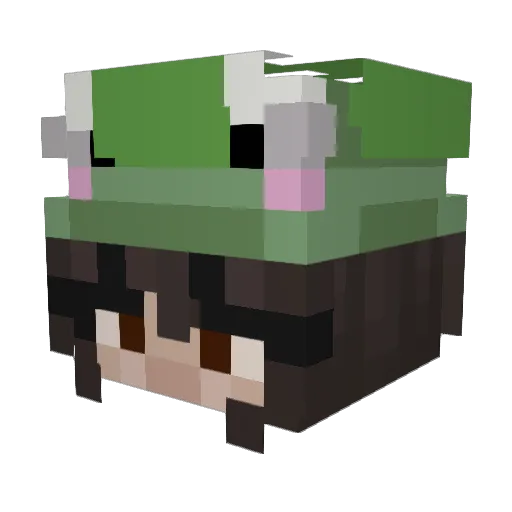 beepboop235 Minecraft avatar head, 3D render