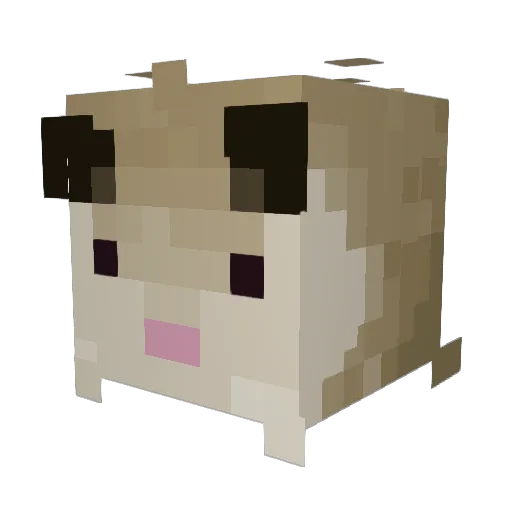 beepbopples Minecraft avatar head, 3D render