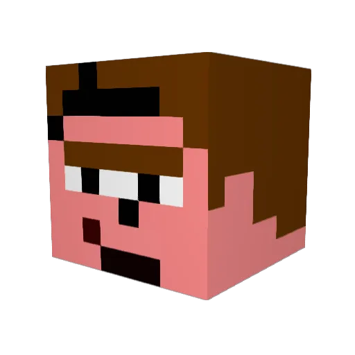 beepkeeper Minecraft avatar head, 3D render
