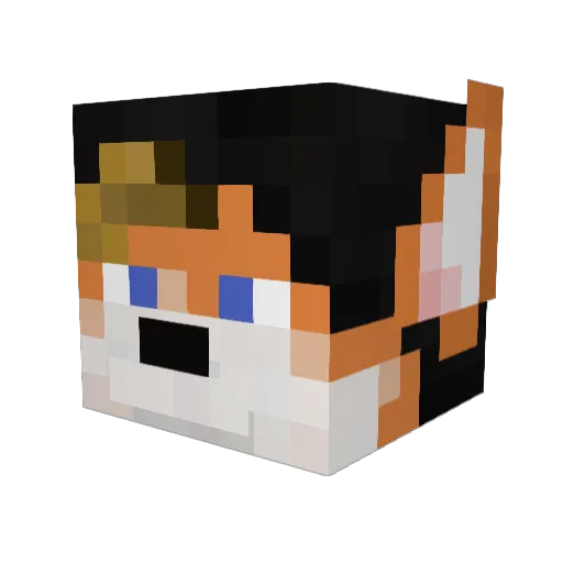 beepthefox Minecraft avatar head, 3D render
