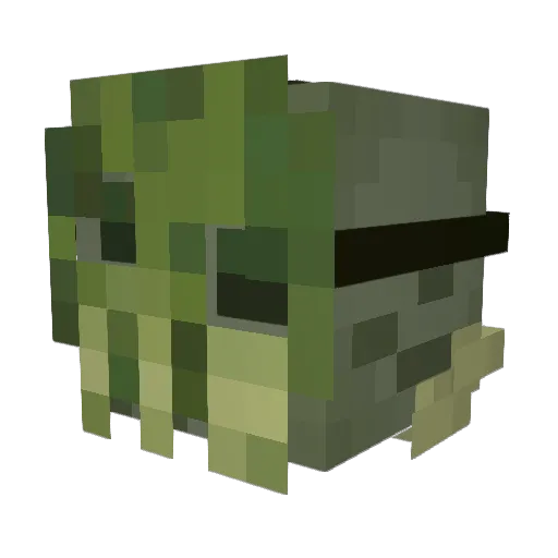 beepus_ Minecraft avatar head, 3D render