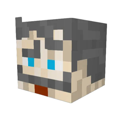 beer_fish Minecraft avatar head, 3D render