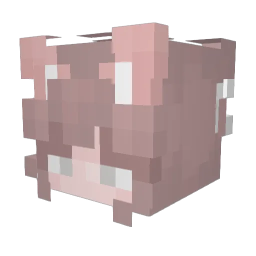 beerna Minecraft avatar head, 3D render