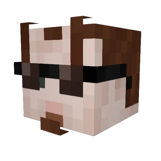 beesarcool Minecraft avatar head, 3D render