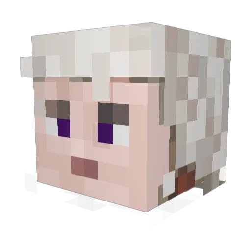 beesechurger216 Minecraft avatar head, 3D render