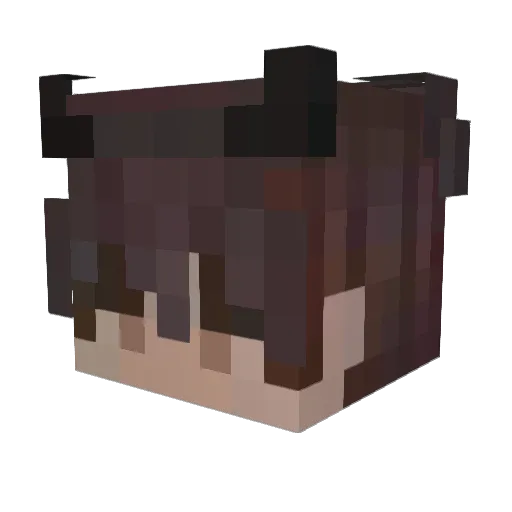 beesluvrr Minecraft avatar head, 3D render
