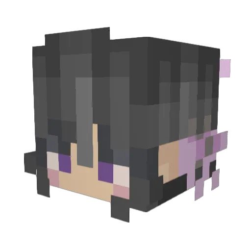 beesmiracle Minecraft avatar head, 3D render