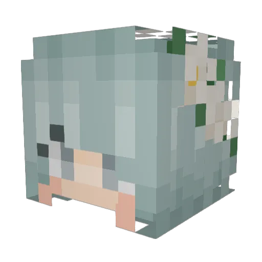 beesneezy Minecraft avatar head, 3D render