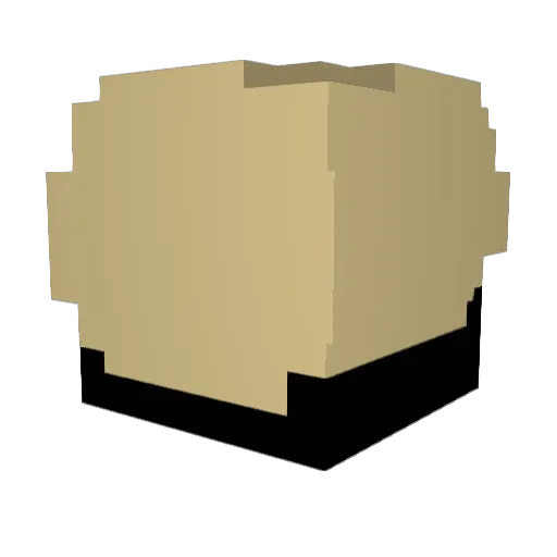 beetle_s0up Minecraft avatar head, 3D render