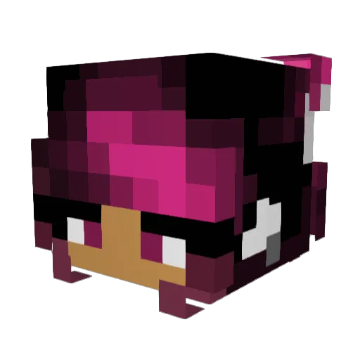 beetlebon Minecraft avatar head, 3D render