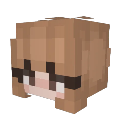 beetleebugg Minecraft avatar head, 3D render