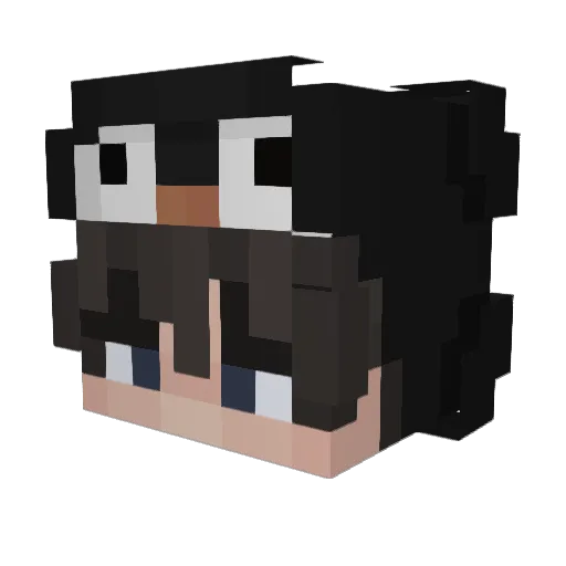 beetleziyuri Minecraft avatar head, 3D render