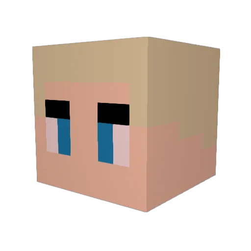 beetsbop11 Minecraft avatar head, 3D render