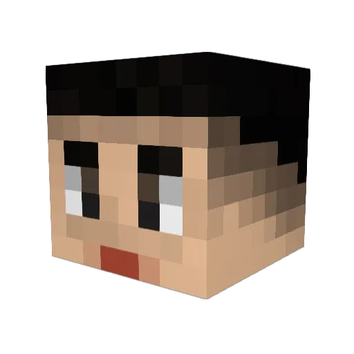 beewaim Minecraft avatar head, 3D render