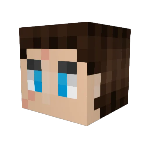 beezer_06 Minecraft avatar head, 3D render