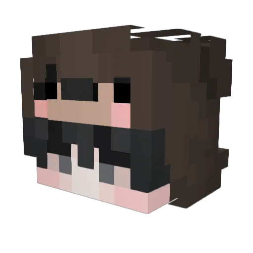 befe11 Minecraft avatar head, 3D render