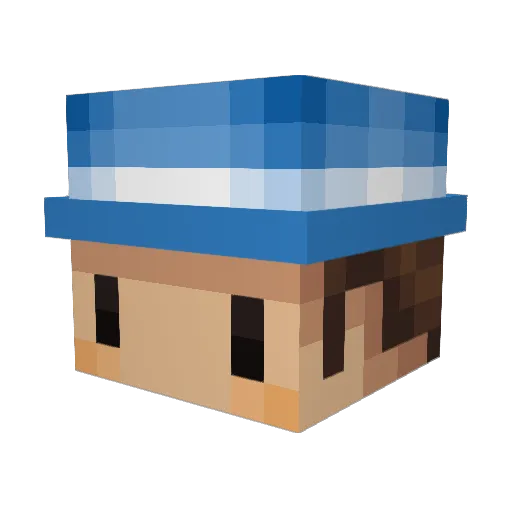begHost Minecraft avatar head, 3D render