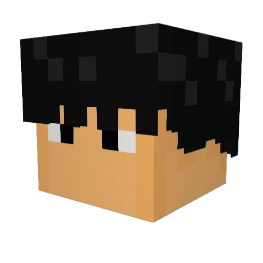 bega___ Minecraft avatar head, 3D render