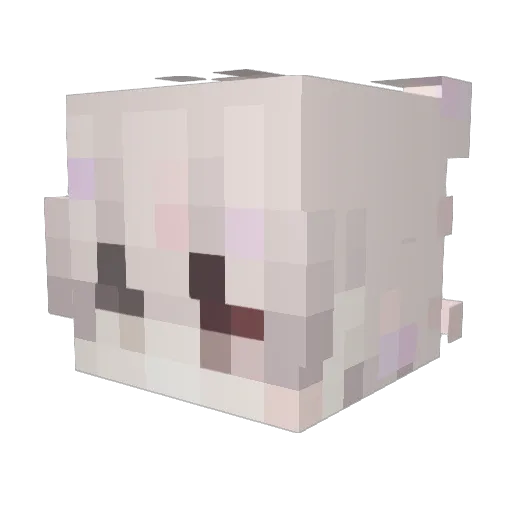 beglichen Minecraft avatar head, 3D render