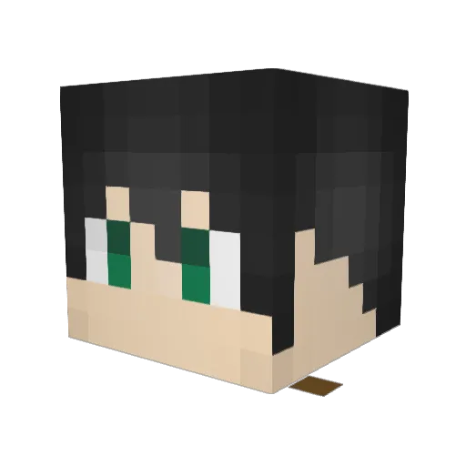 behjohn Minecraft avatar head, 3D render