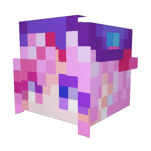 behoya Minecraft avatar head, 3D render