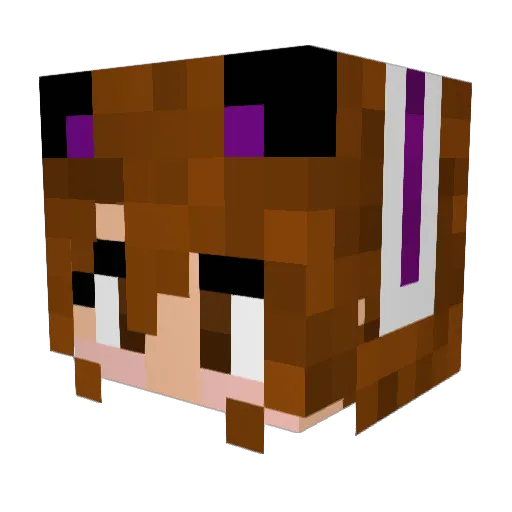 beinisson Minecraft avatar head, 3D render