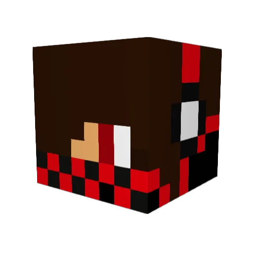 bejane11 Minecraft avatar head, 3D render