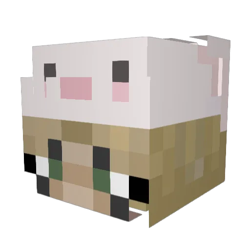 bekalol Minecraft avatar head, 3D render