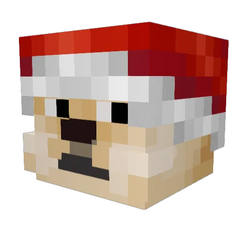 bela69 Minecraft avatar head, 3D render