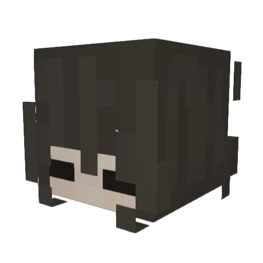 belallala Minecraft avatar head, 3D render
