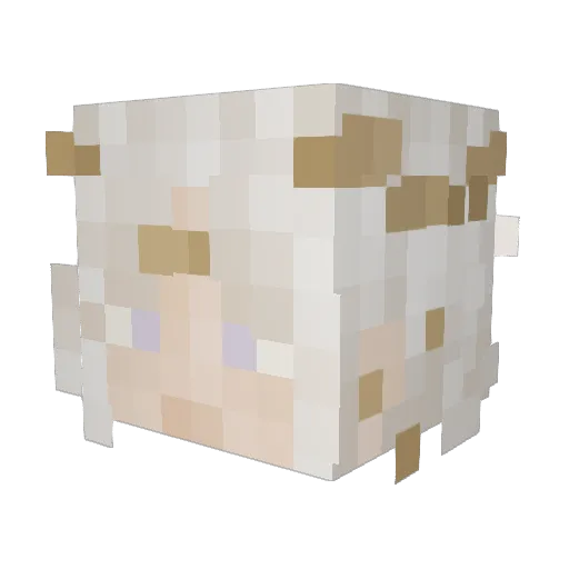 belby_ Minecraft avatar head, 3D render