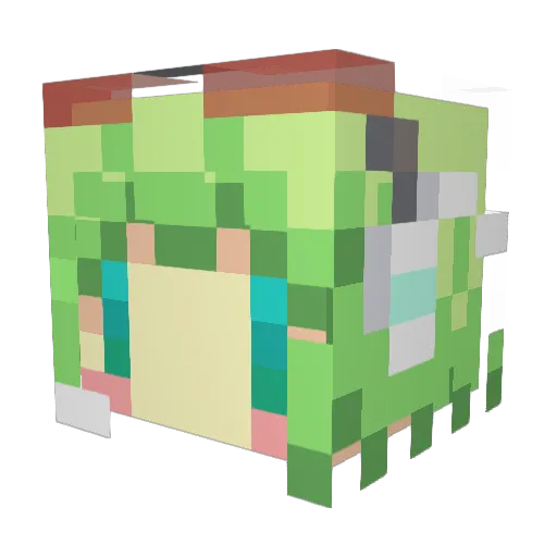 believeodiary Minecraft avatar head, 3D render