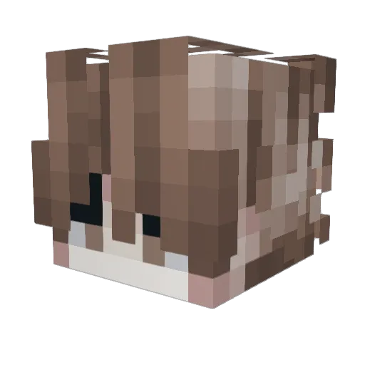 bellababyUWU Minecraft avatar head, 3D render