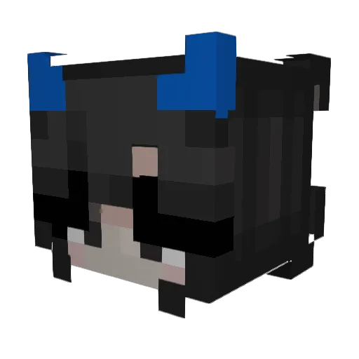 bellabee004 Minecraft avatar head, 3D render