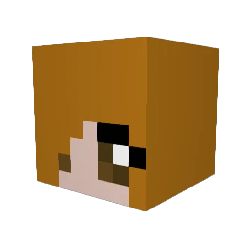 bellaboolovesyou Minecraft avatar head, 3D render