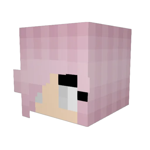 belladestroyed Minecraft avatar head, 3D render