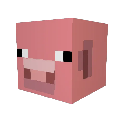 belladomdingdong Minecraft avatar head, 3D render