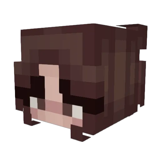 bellaisaducky Minecraft avatar head, 3D render
