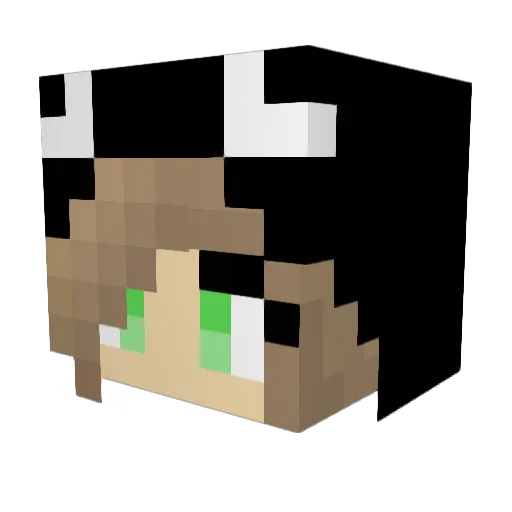 belle102 Minecraft avatar head, 3D render