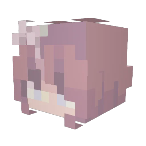 belledephineUWU Minecraft avatar head, 3D render