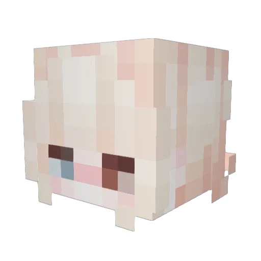 belllrained Minecraft avatar head, 3D render
