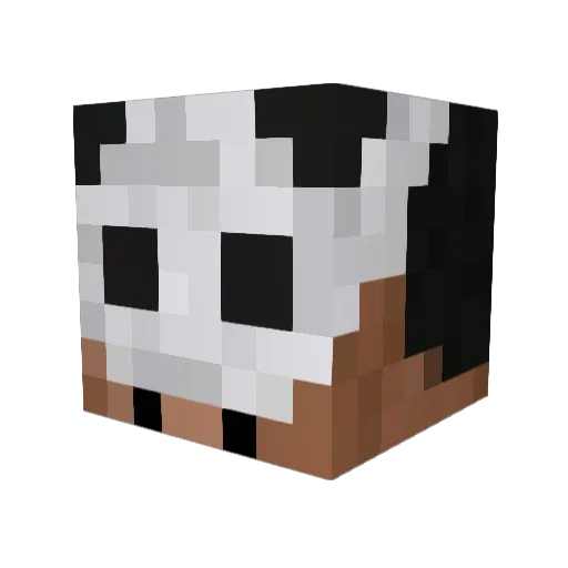 bello293 Minecraft avatar head, 3D render
