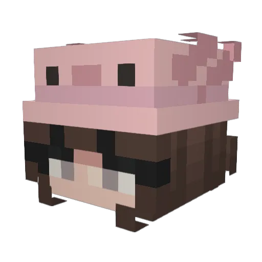 bellskeezz Minecraft avatar head, 3D render