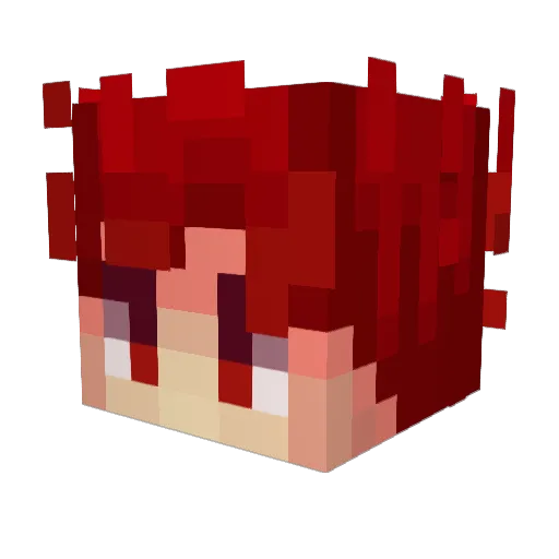 bellyhunter Minecraft avatar head, 3D render