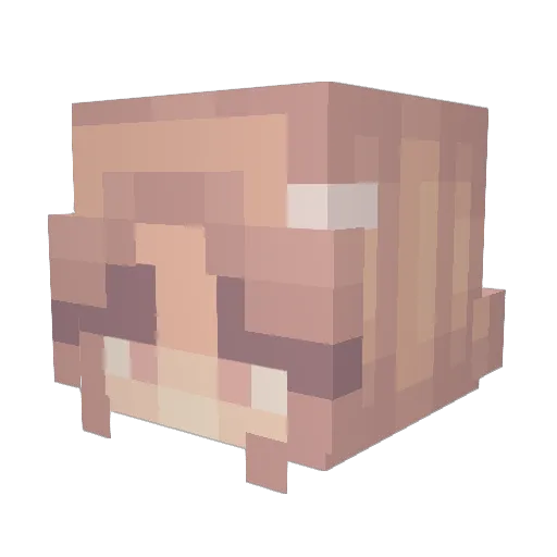 bellylicious Minecraft avatar head, 3D render