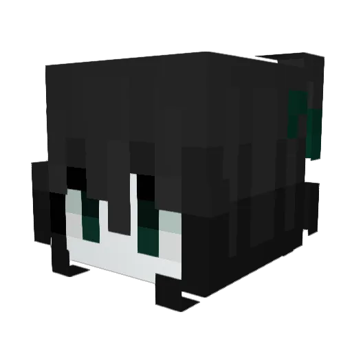 bellypain Minecraft avatar head, 3D render